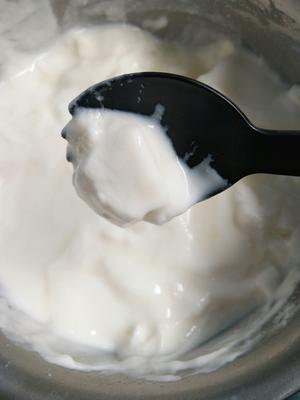 零失败凝固型酸奶的做法 步骤4