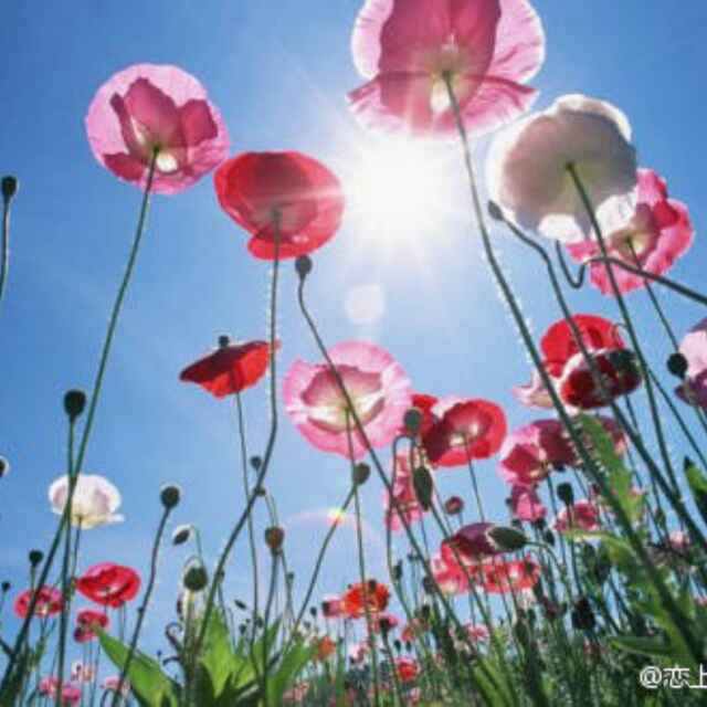 雨打窗棂要自然