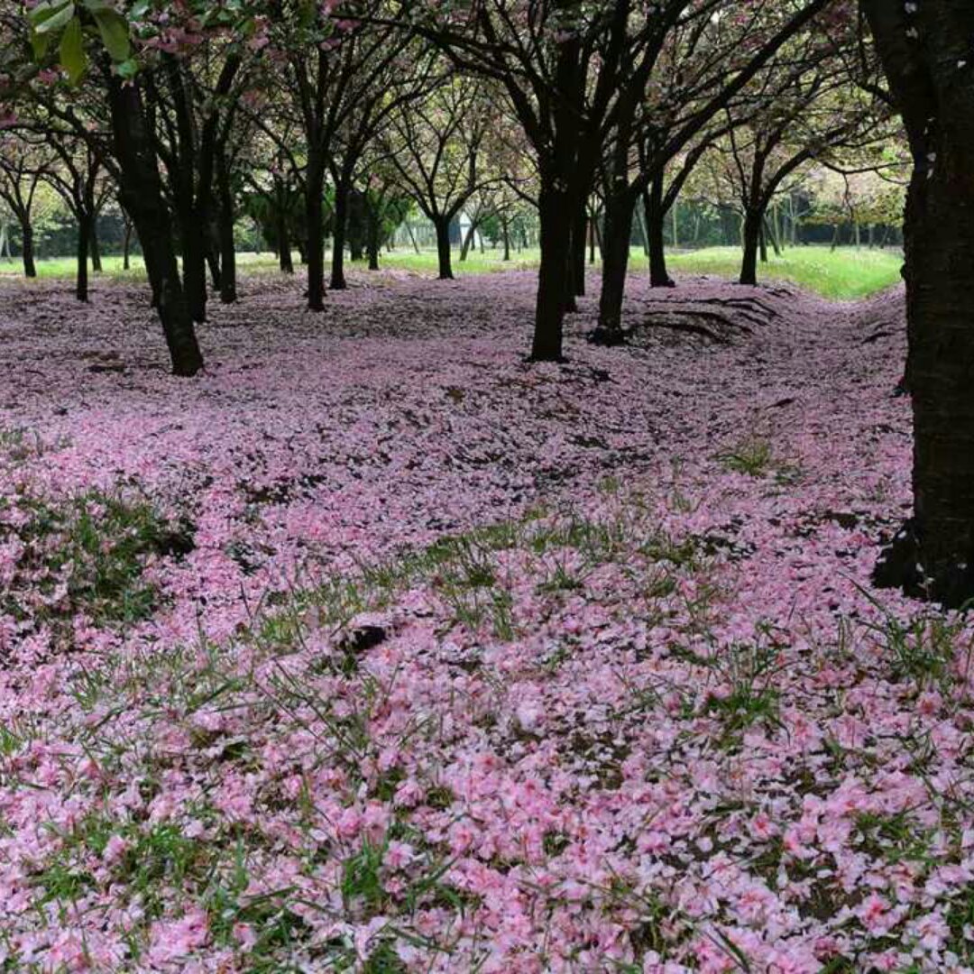 爱学习小能手