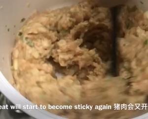 苹果核桃猪肉馅 Apple Walnut Pork Filling的做法 步骤7