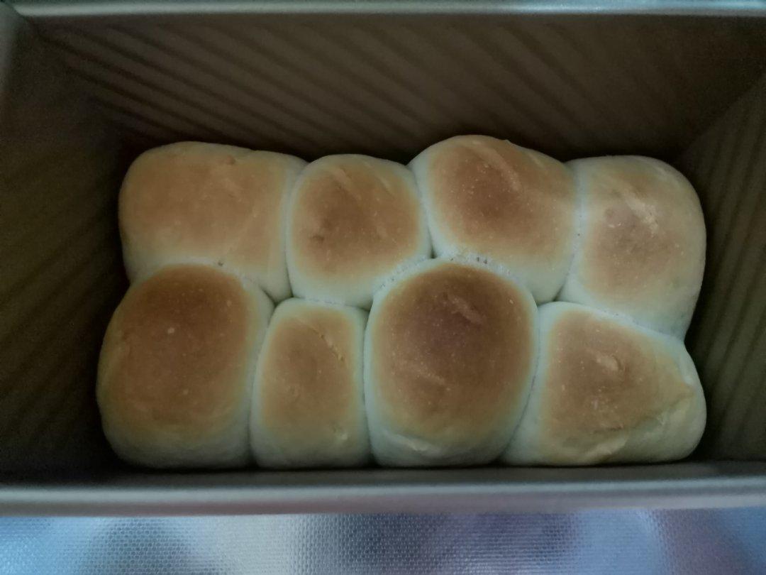 软到没朋友的牛奶小餐包