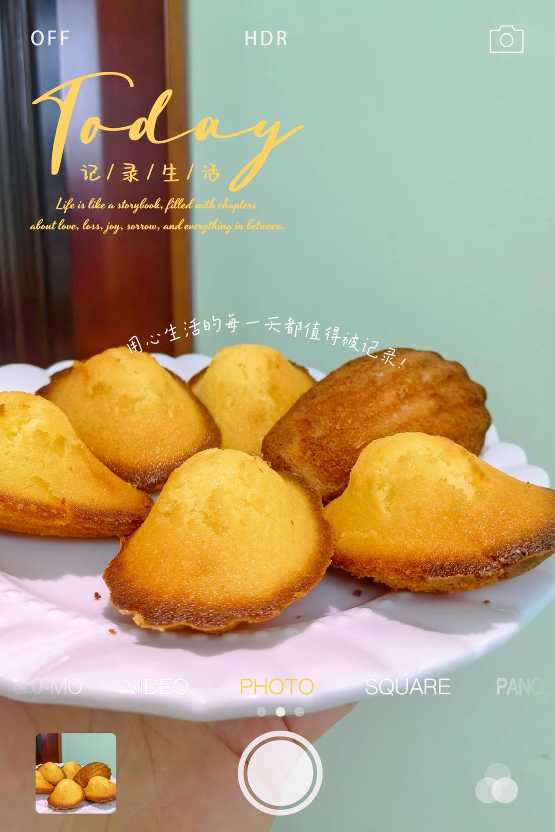 玛德琳（蓝带方）