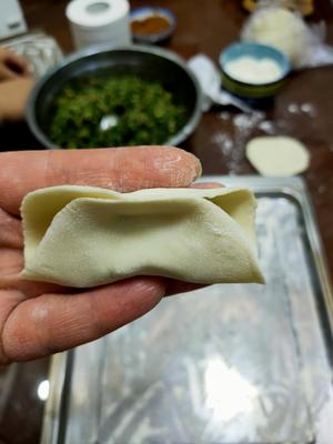 韭菜猪肉饺子(附擀皮和最简单的饺子包法)的做法 步骤17