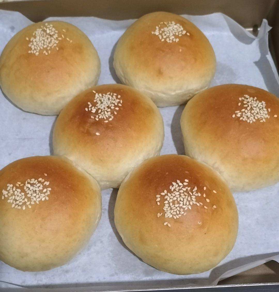 汉堡胚 poolish（波兰种）