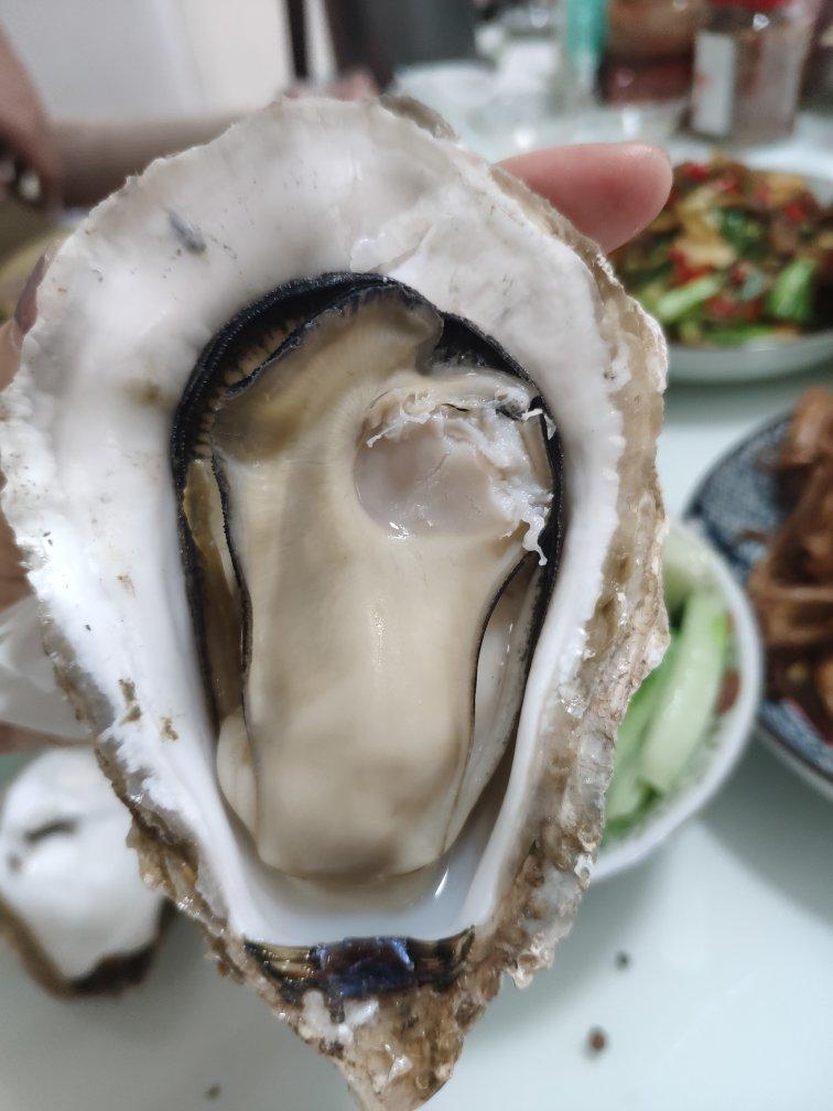 堪比烤生蚝的高压锅生蚝