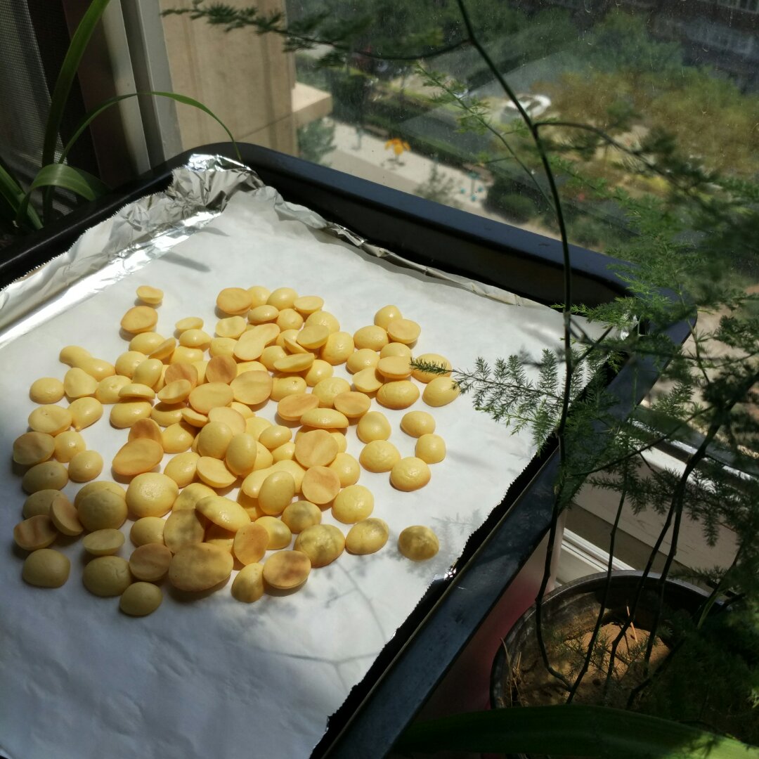 真的入口即化小baby也能吃的蛋黄小酥饼，骗人你打我……
