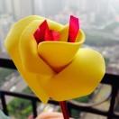 雅丹紫晨