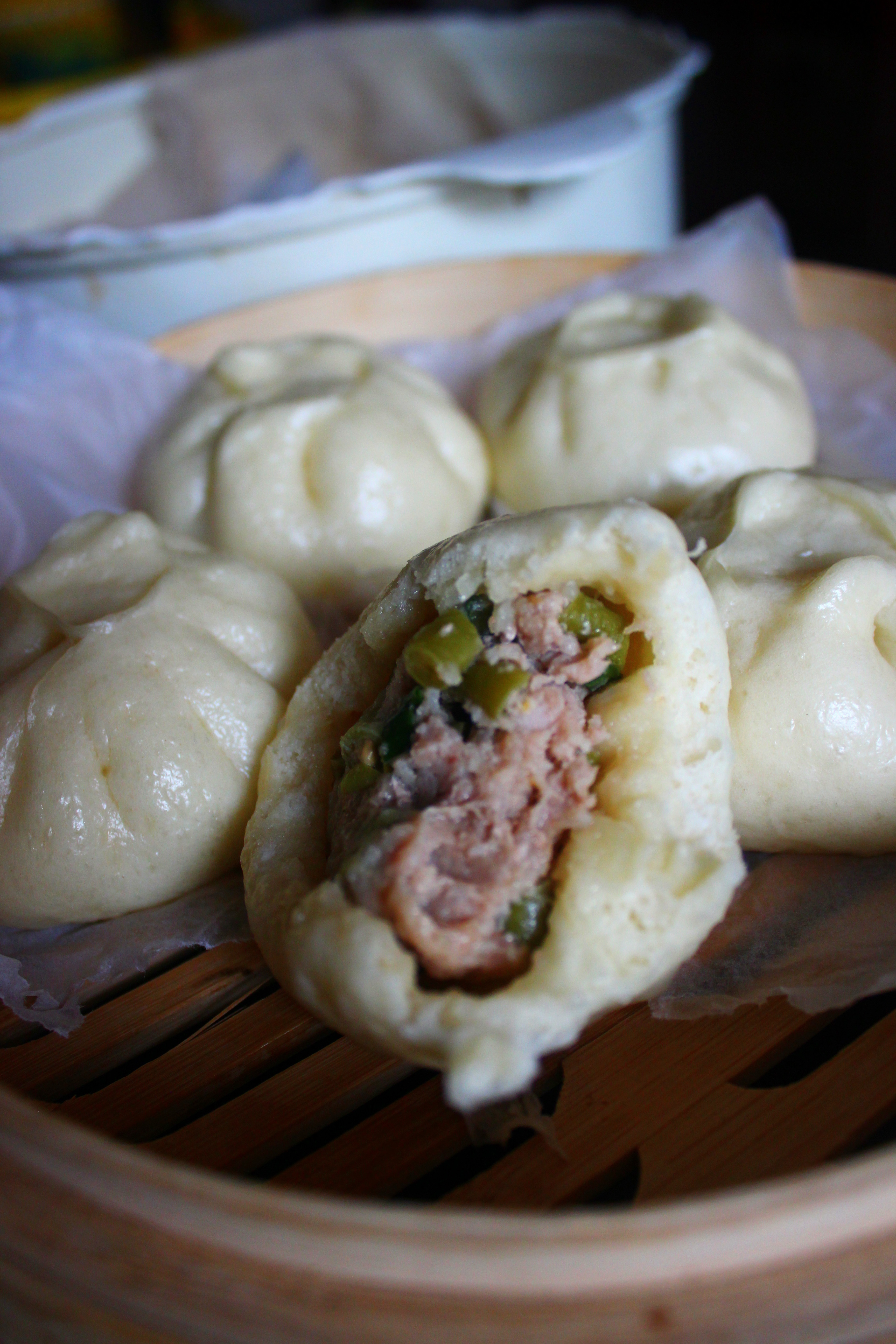 酸豆角肉包子的全部作品