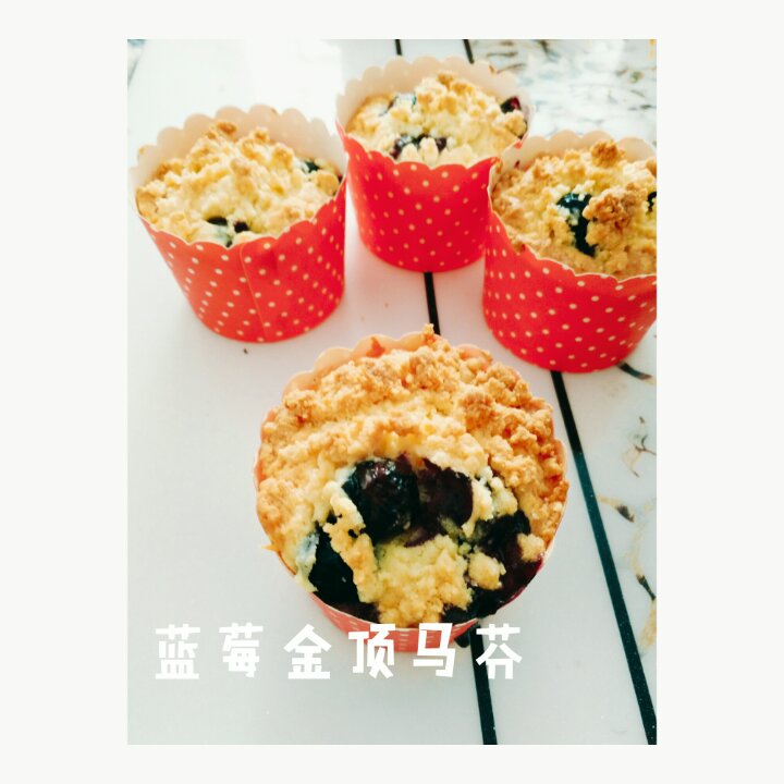 PH大师的金宝顶蓝莓马芬