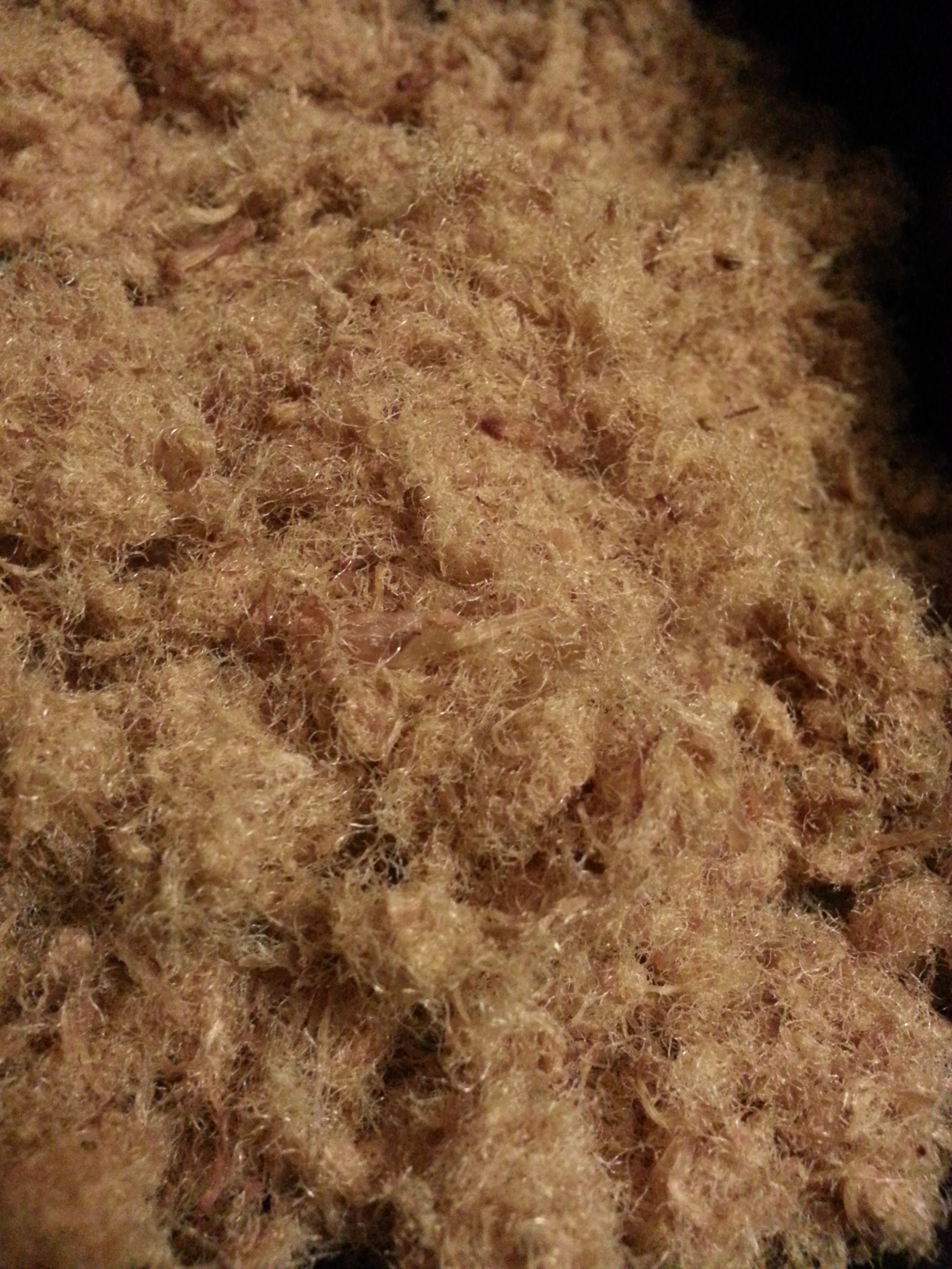 面包机自制肉松