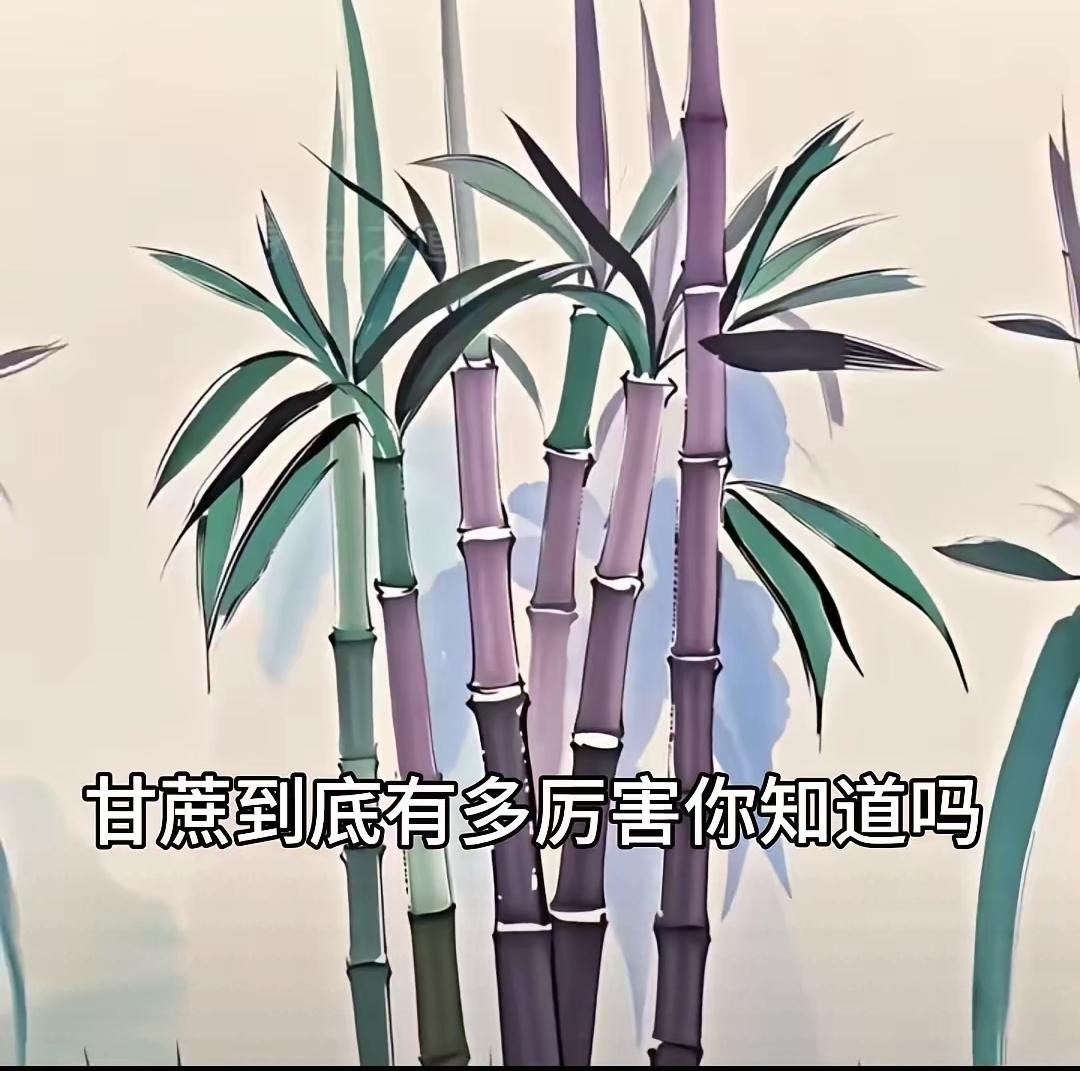 甘蔗新吃法~烤甘蔗(烤箱/空气炸锅版)