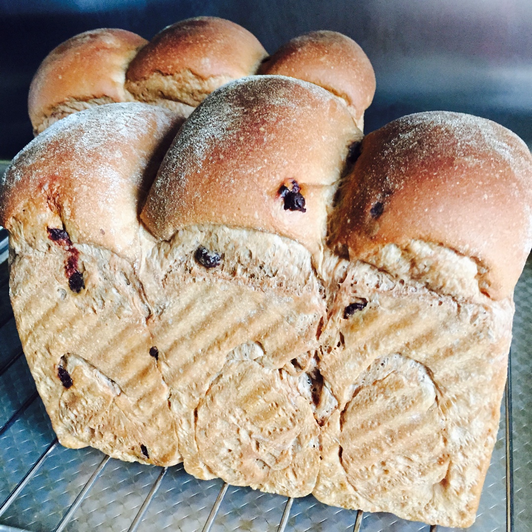 巧克力吐司（可可吐司）