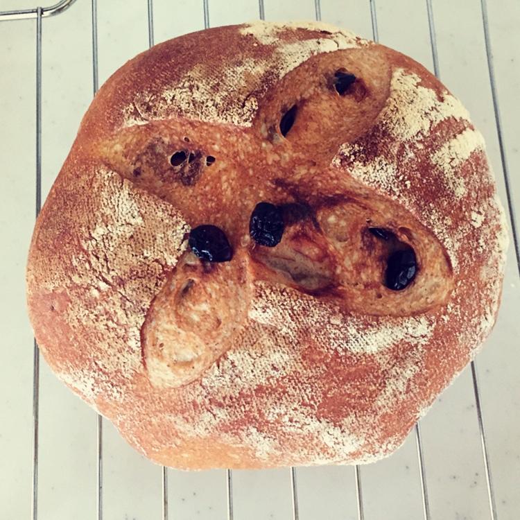 🍞免揉欧包新手入门指南（冷藏发酵、无油无糖）
