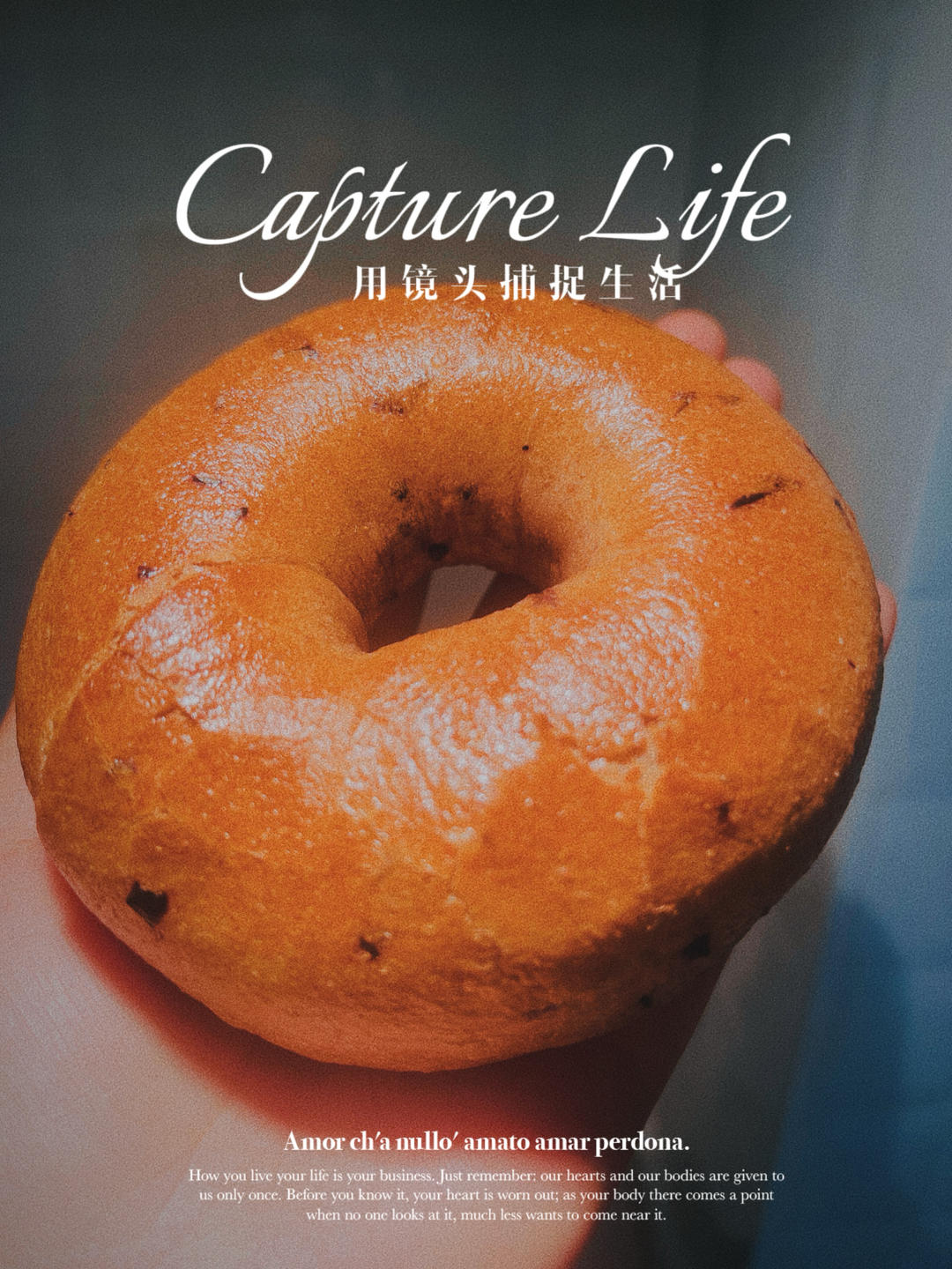 蓝莓贝果（松软型）