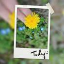 手机用户7293_43mt