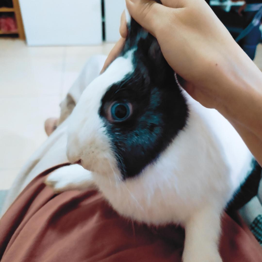 冬天可乐不加冰