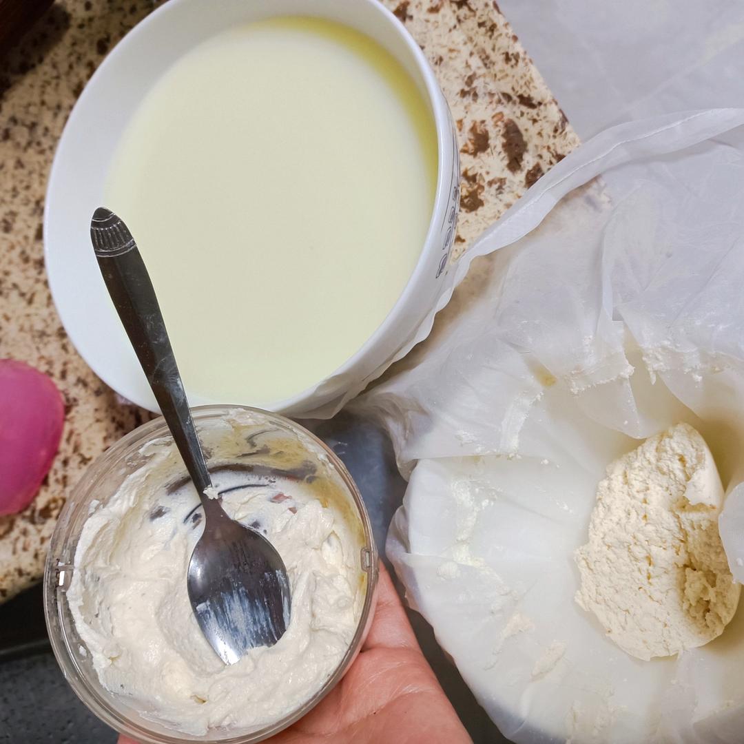 酸奶自制茅屋奶酪，乳清不酸不浪费！健身推荐，超简单