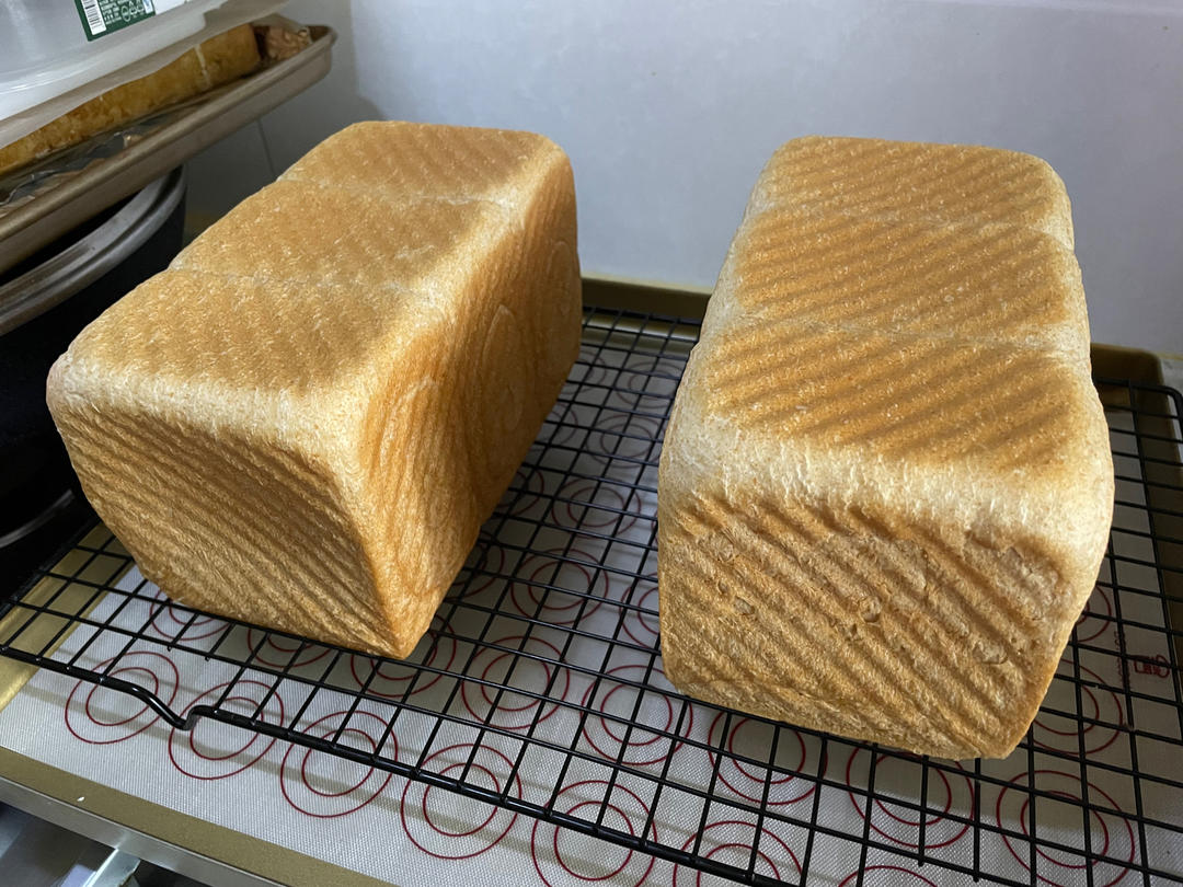 波兰种全麦吐司