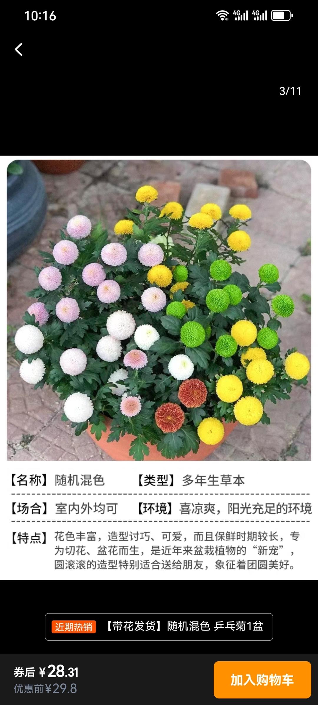 红枣核桃料多多，一炉8条小吐司记录