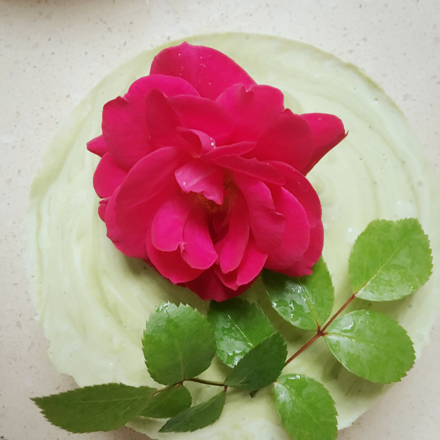 冷藏式抹茶大理石乳酪蛋糕