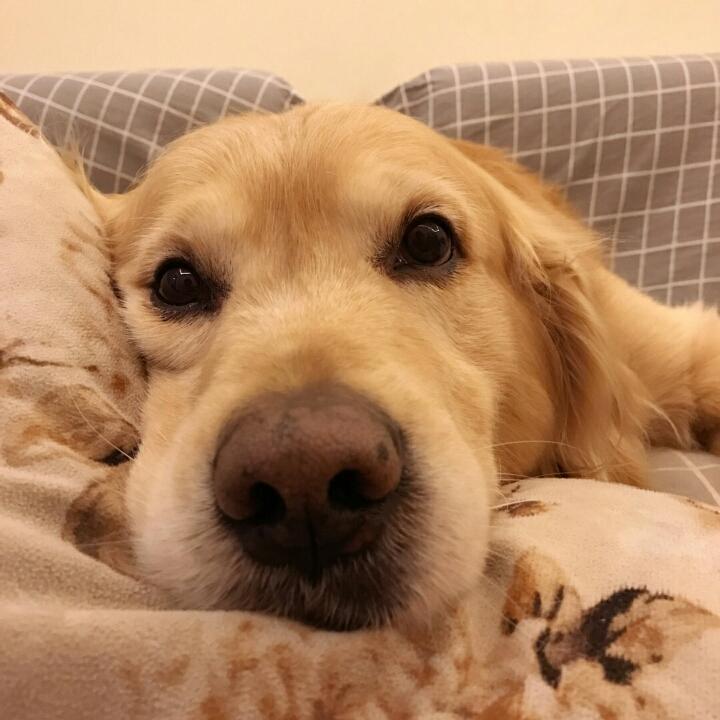 一个特别的用户