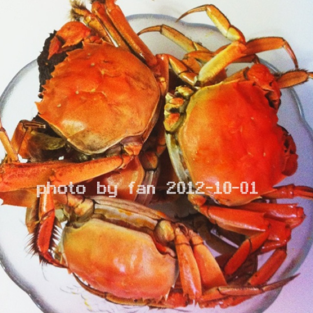 清蒸大闸蟹