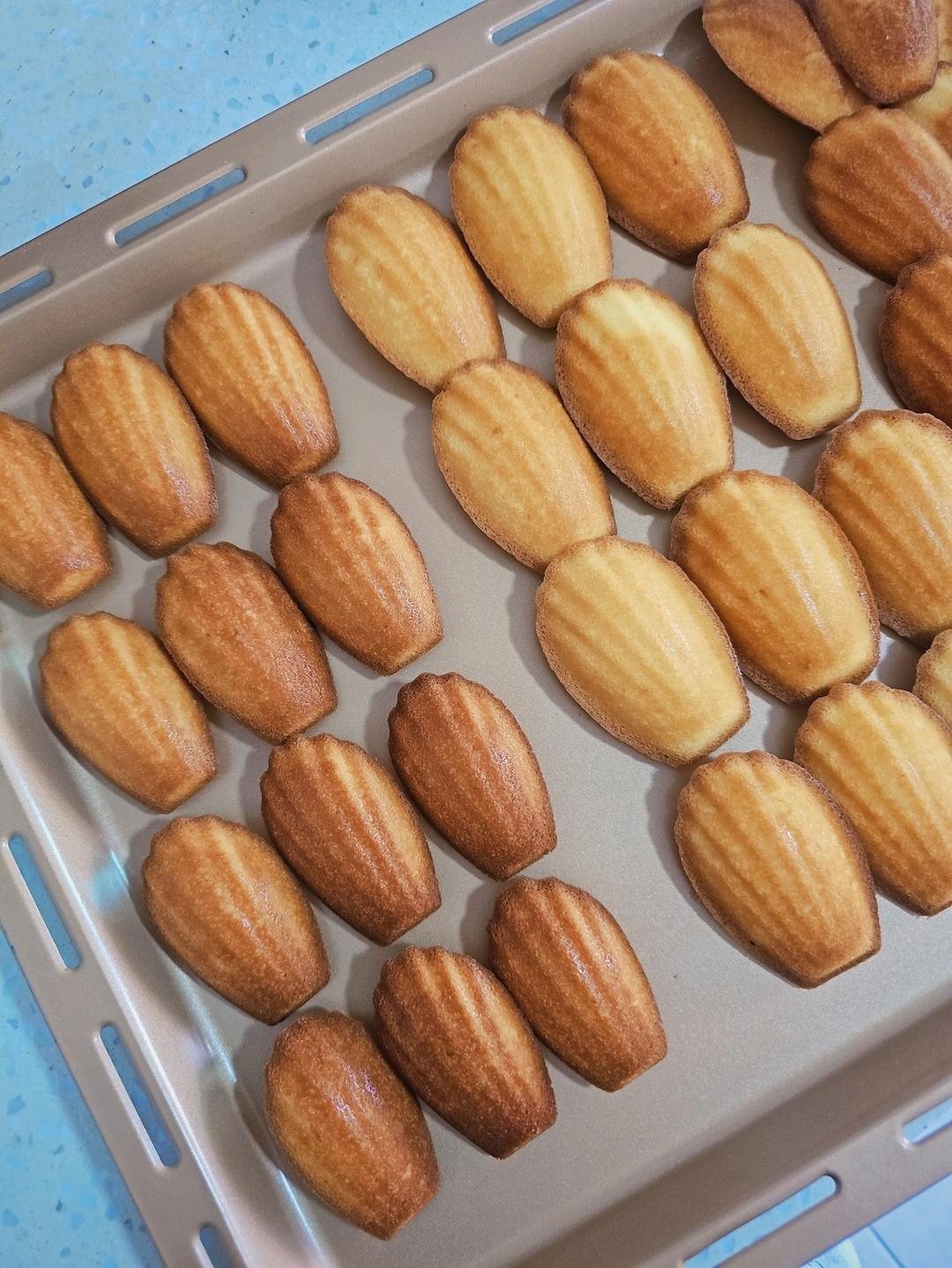 《Tinrry+》柠檬玛德琳