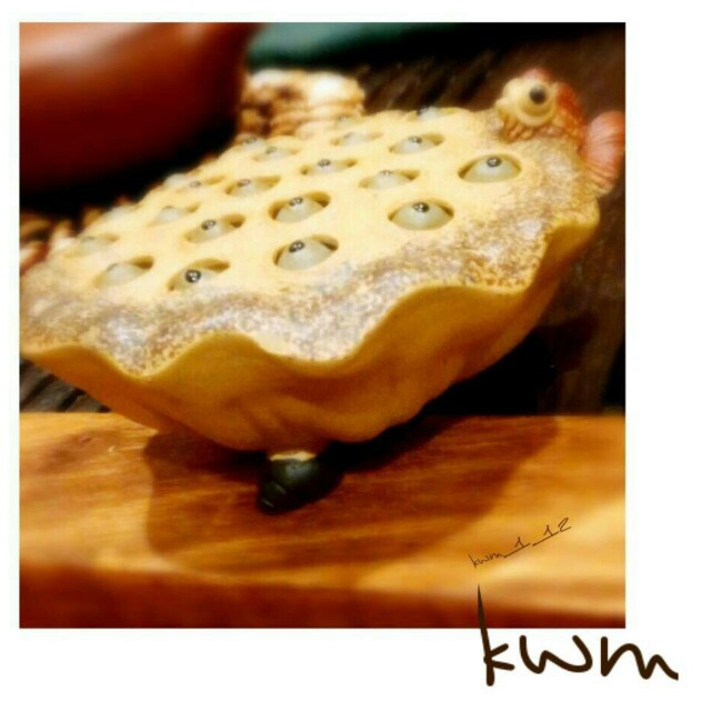 今天我做煮