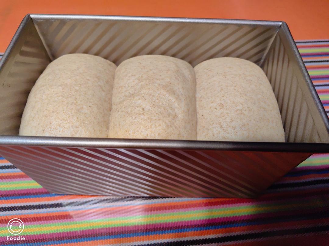 50%全麦吐司｜低糖低脂，吃起来不像是吃全麦的全麦吐司！