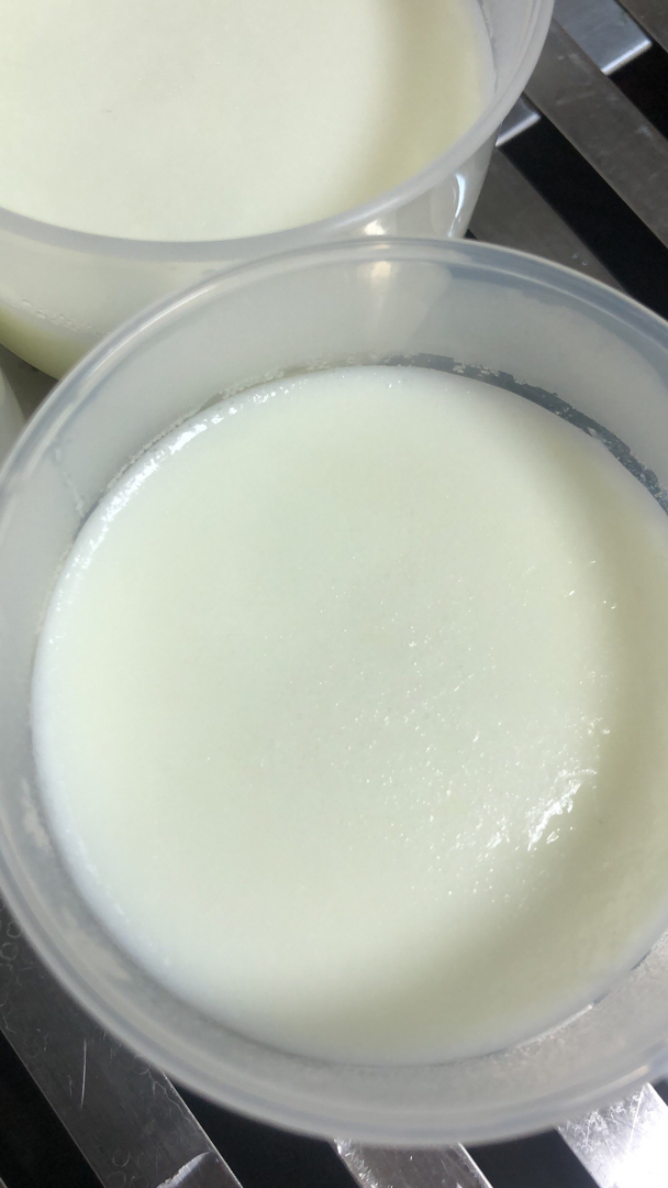 牛奶炖蛋白