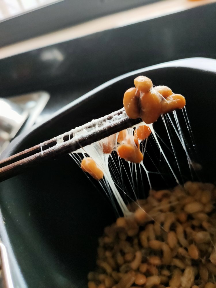 自制纳豆（酸奶机，面包机，烤箱版）