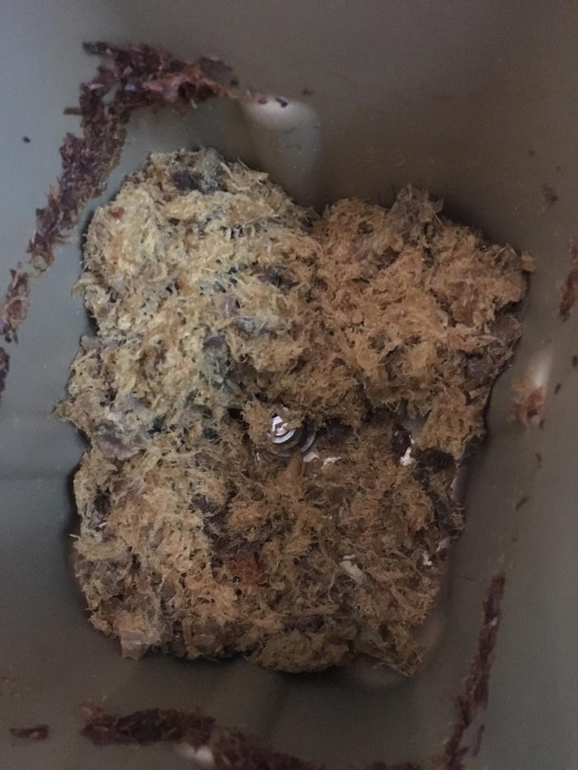 零失败 柏翠面包机版肉松～