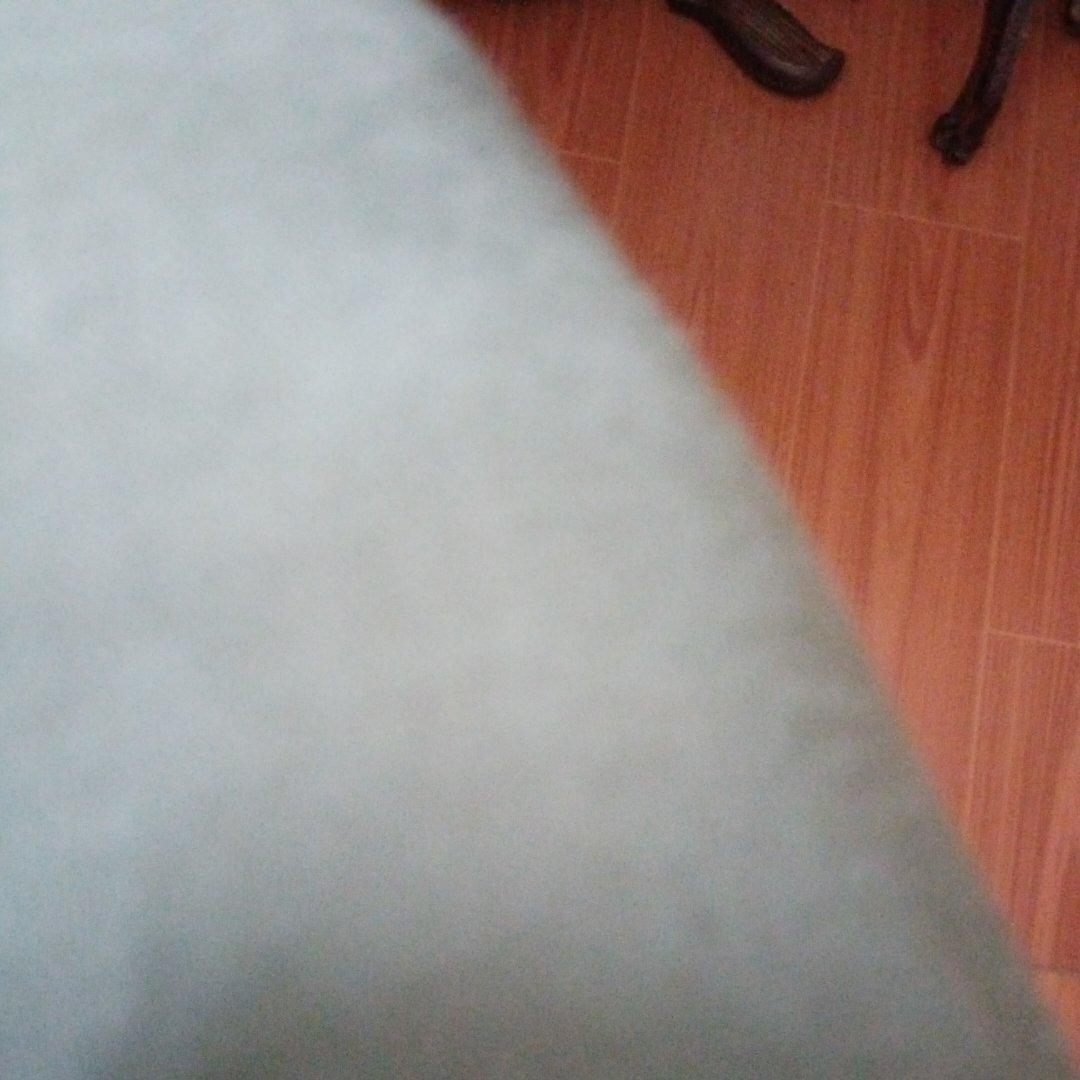 自发豆芽