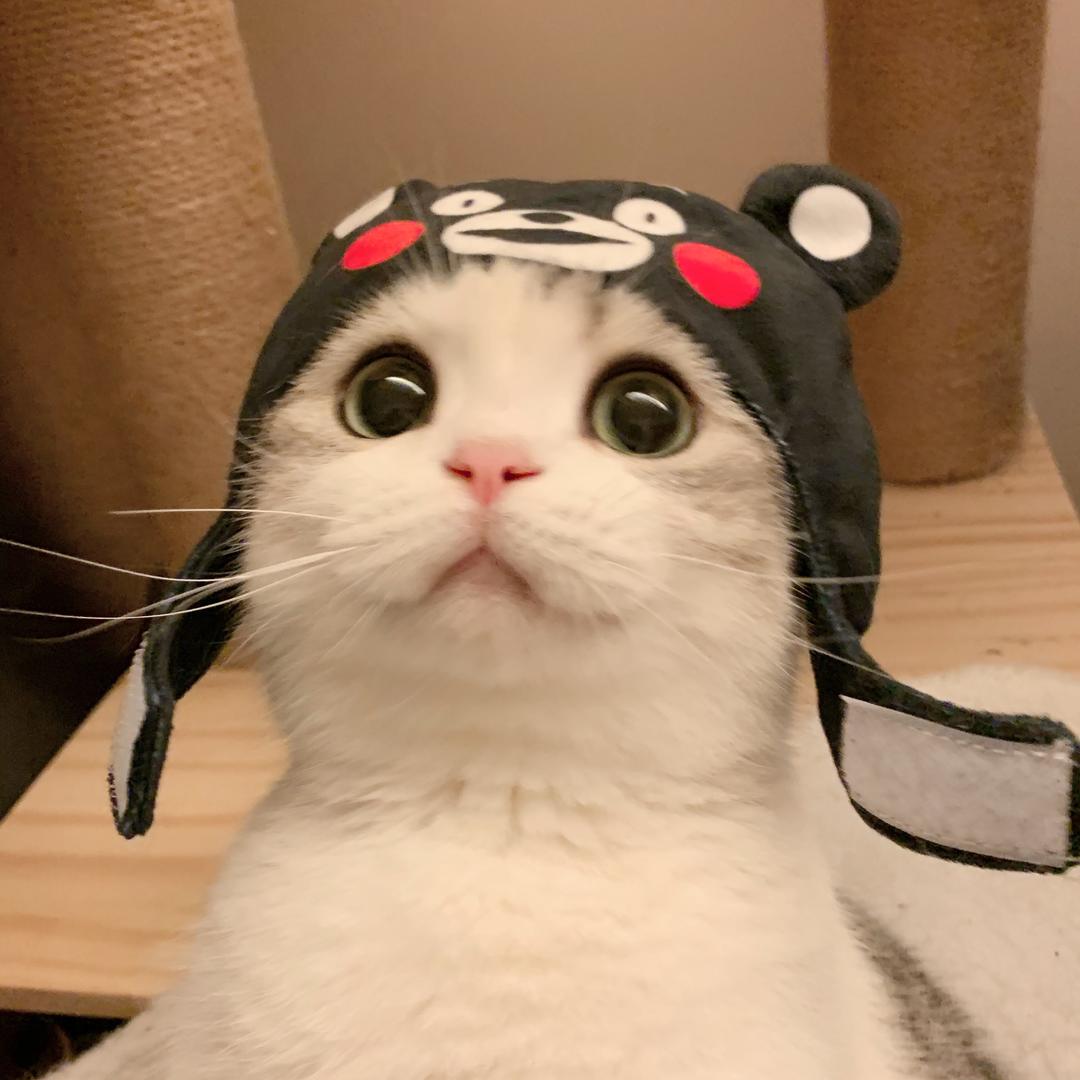 让我看看嘛