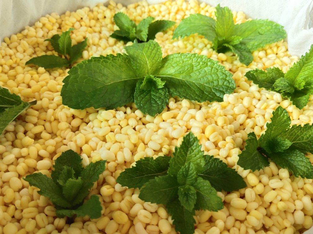 绿豆糕（低油木糖醇版）