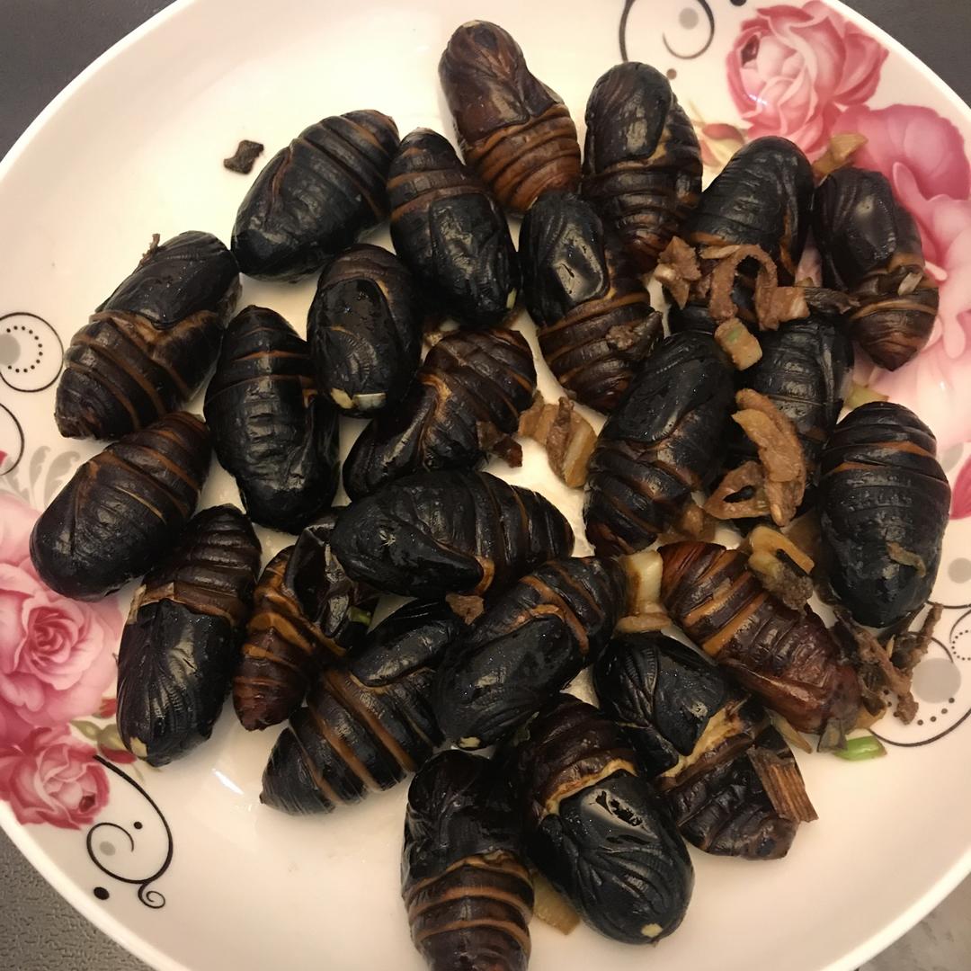 东北炒茧蛹