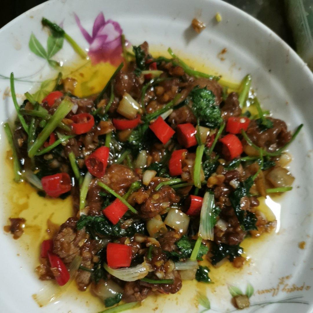 香菜炒牛肉，香辣下饭，爱吃香菜的朋友看过来，拌饭绝了