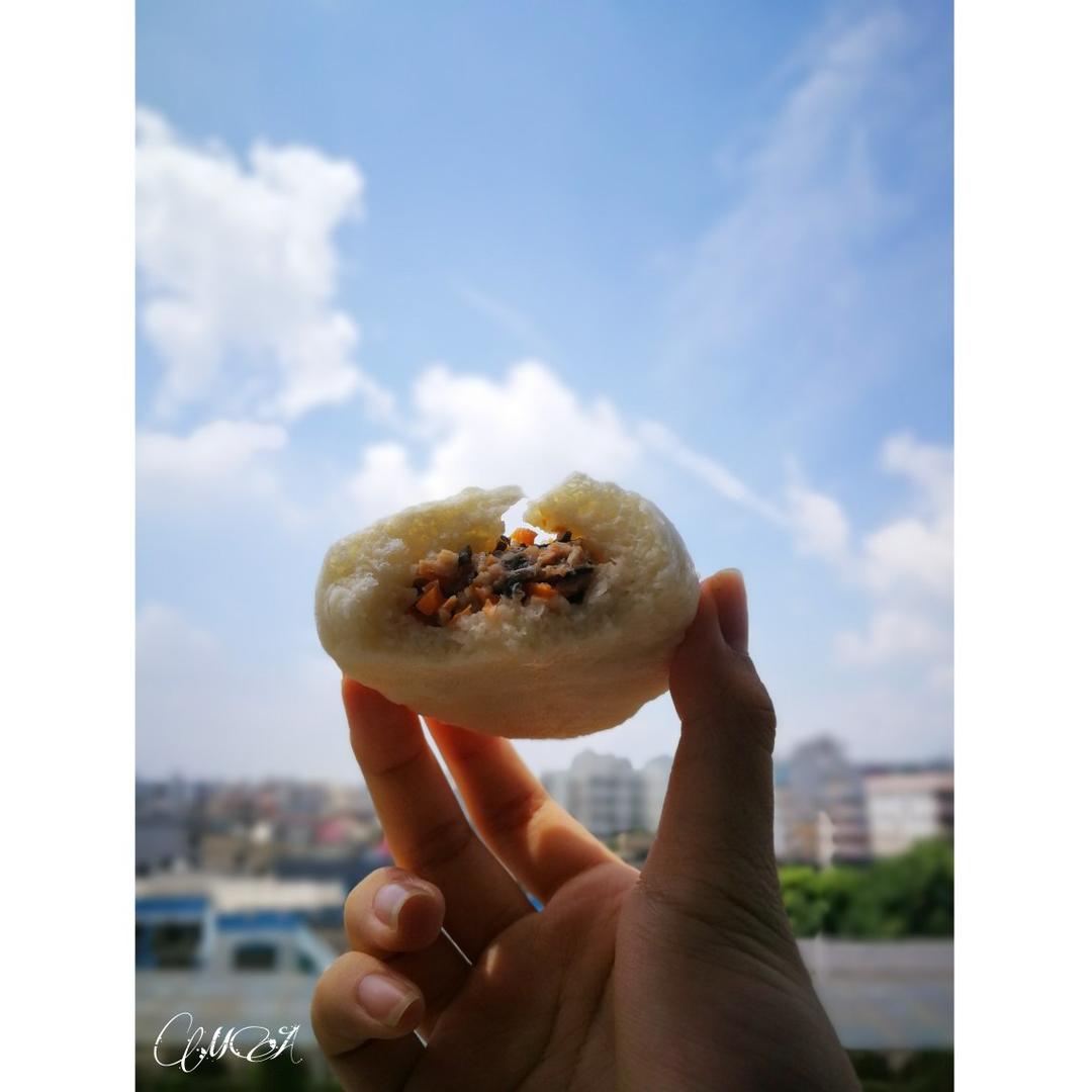 多汁鲜肉包°超强步骤详解๑