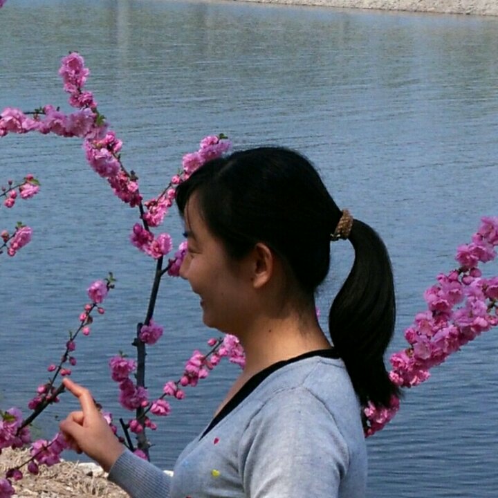 烘焙程