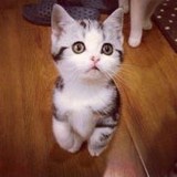Superman黄夢婷