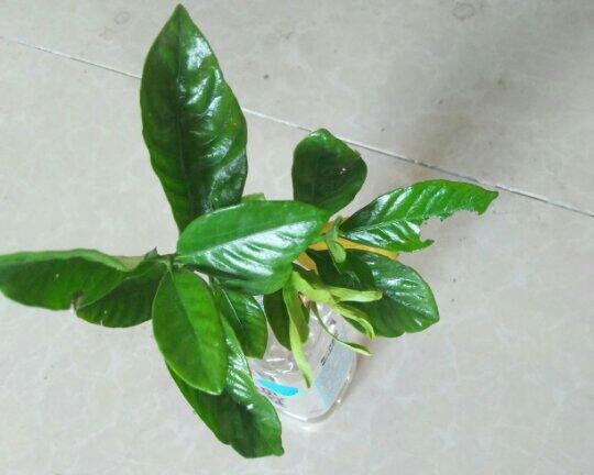 家常菜菜谱【手写版】(一)的做法