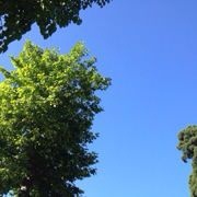 豆宝88