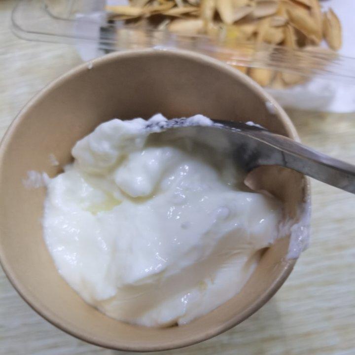 自制酸奶简述