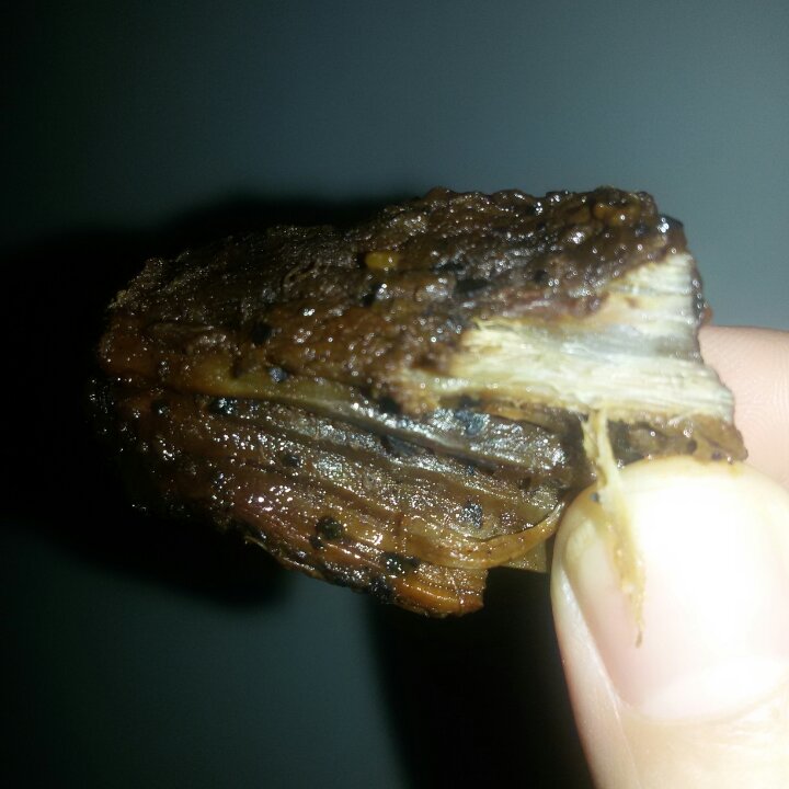 自制烤箱牛肉干