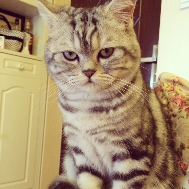 爱国爱家爱俊秀