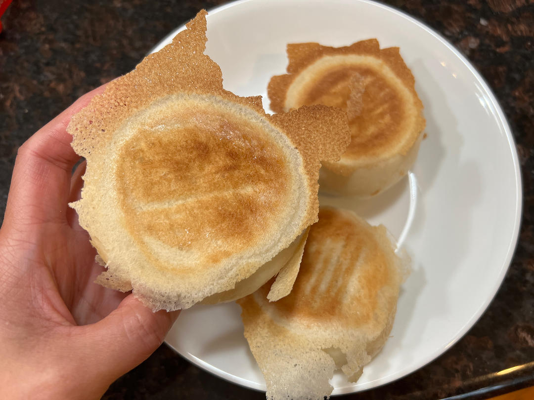 堂妈小厨——金牌韭菜肉丁水煎包
