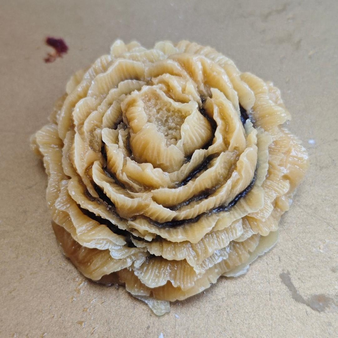 广式月饼（纹路清晰的秘密）