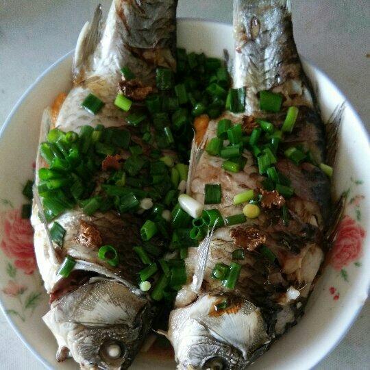 手机用户0407_yh6w做的清蒸鲫鱼