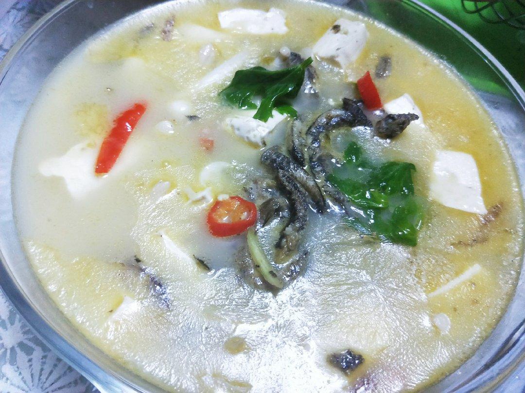 泥鳅炖豆腐（小贴士附杀泥鳅方法）