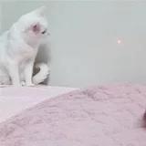 昱_鱼